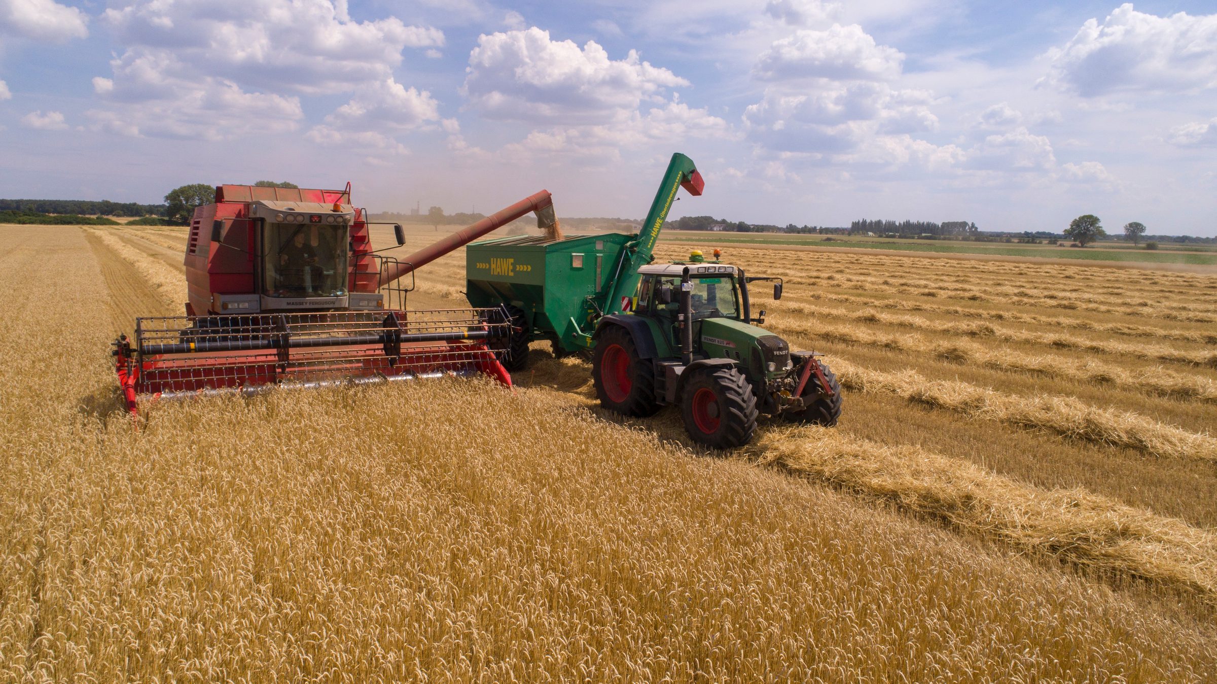 Combine harvester working a wheat field under a wide sky