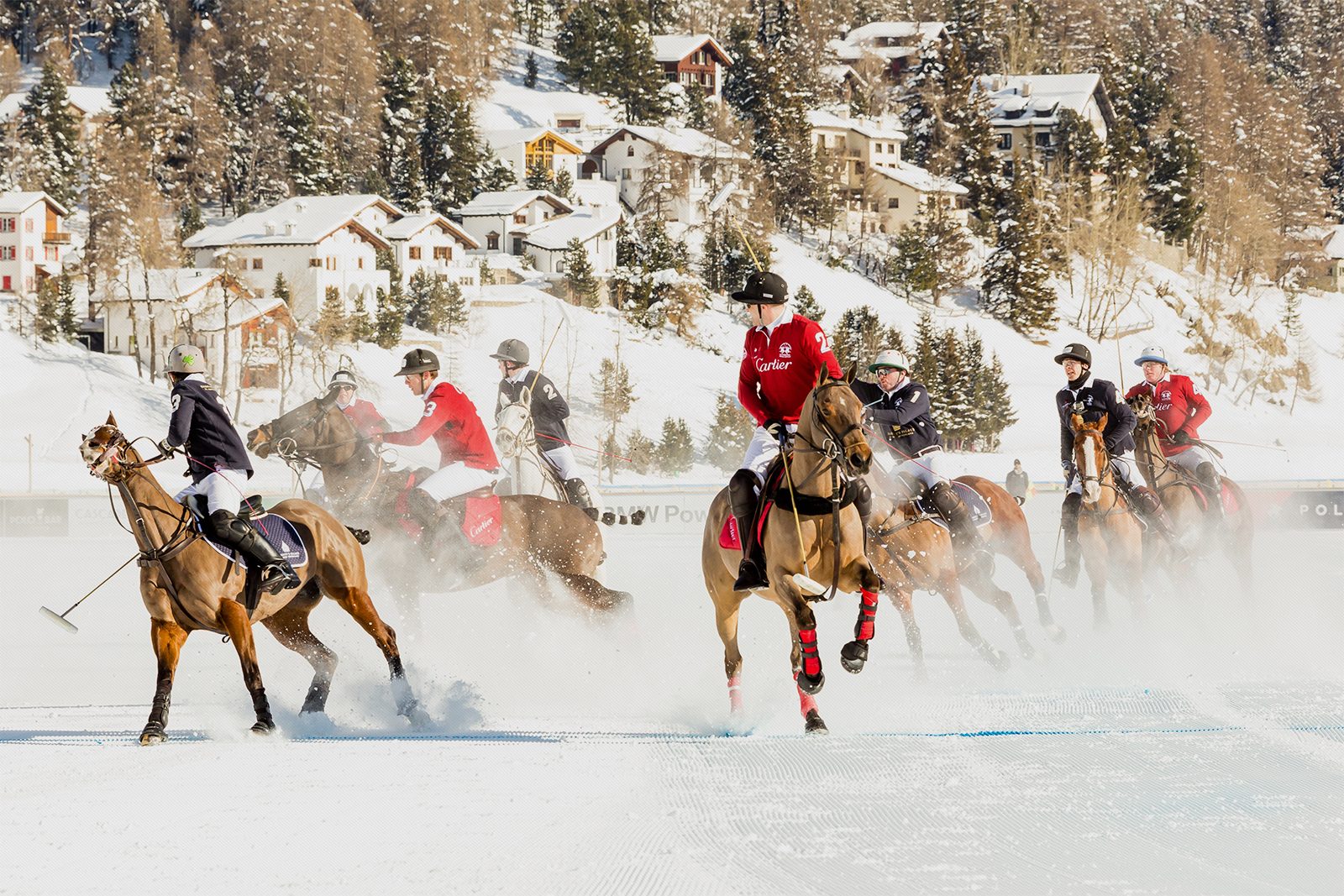 Snow polo players at full gallop